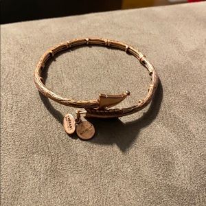 Alex Alex and Ani bracelet
